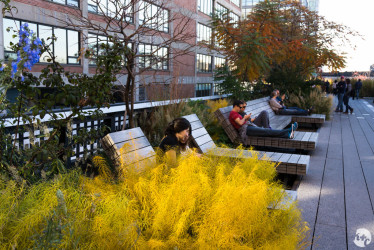 People relax along the High Line