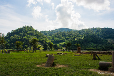 View of Elephant Nature Park's grounds