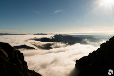 Fog envelopes the mountains below Montserrat