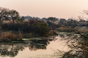 Sunrise outside our river tent (11 Sept 2011)