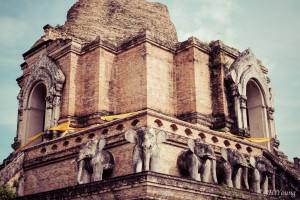 Stone elephants guarding Wat Chedi Luang's stupa