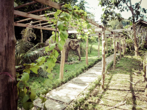 Boon Thong, our personal gardener and always there to greet us on the way to our cabin