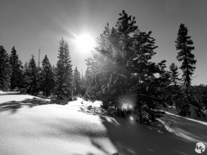 Our favorite snowshoeing spot hidden away in the Cascade Mountains