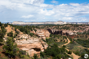 The view from Angels Landing at Best Friends Animal Sanctuary